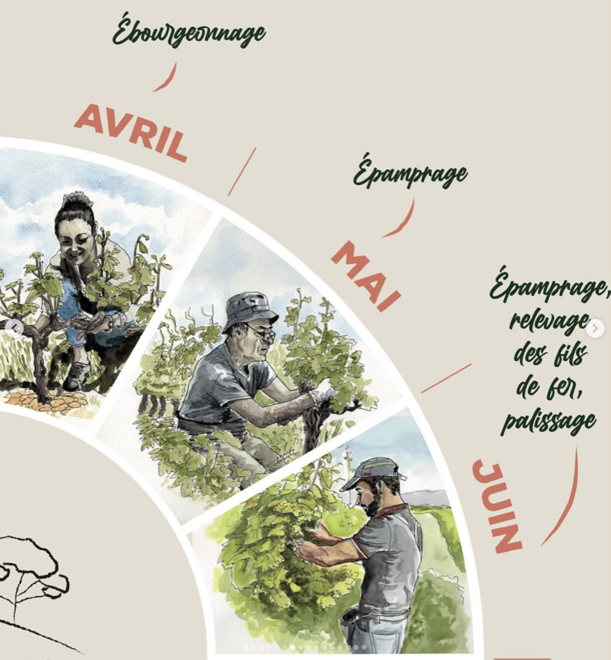 asgrafikdesign.fr_domaine_de_conquetes