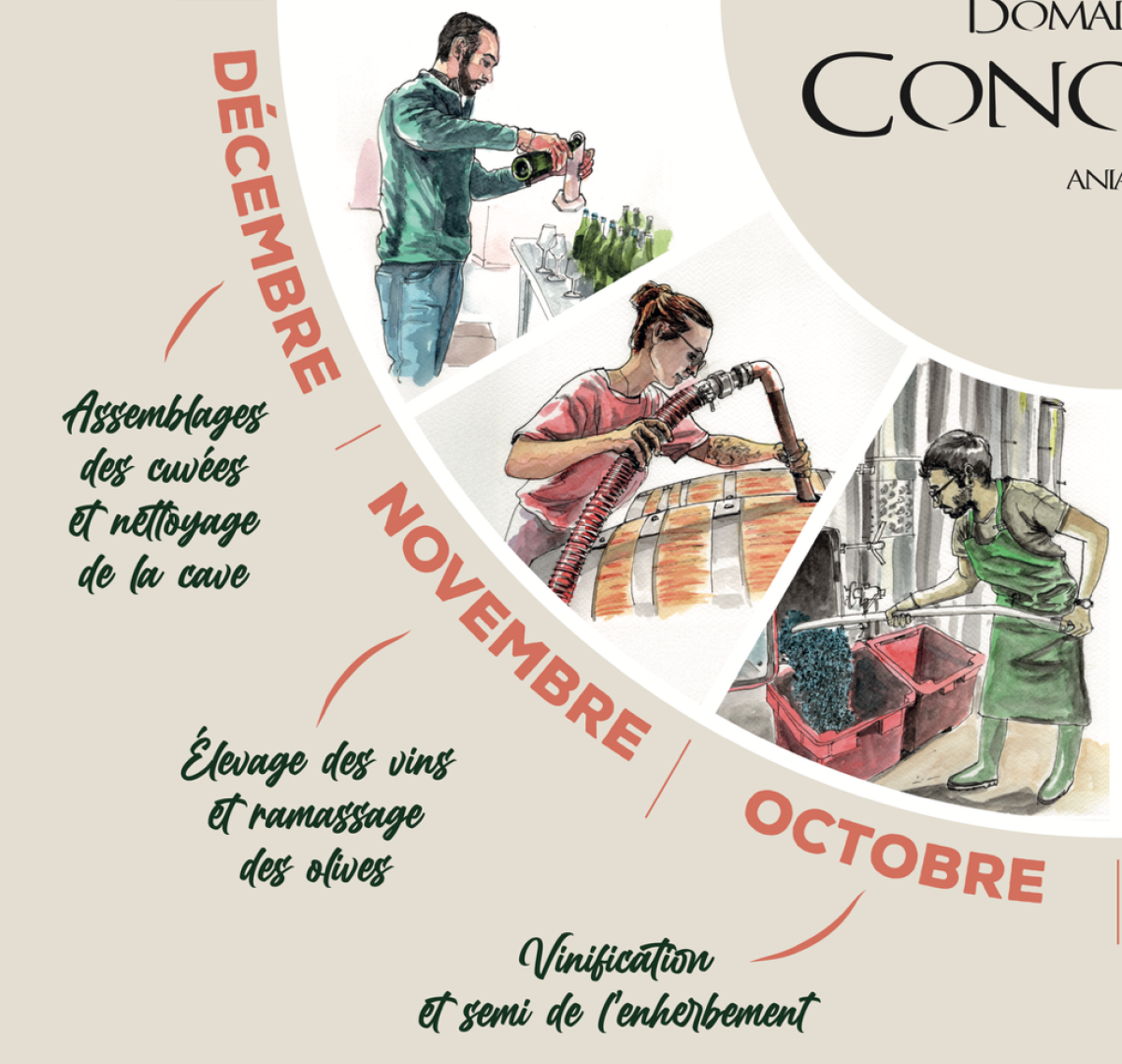 domaine de conquêtes_asgrafikdesign.fr